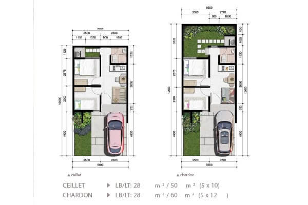 Ceillet & Chardon (1)