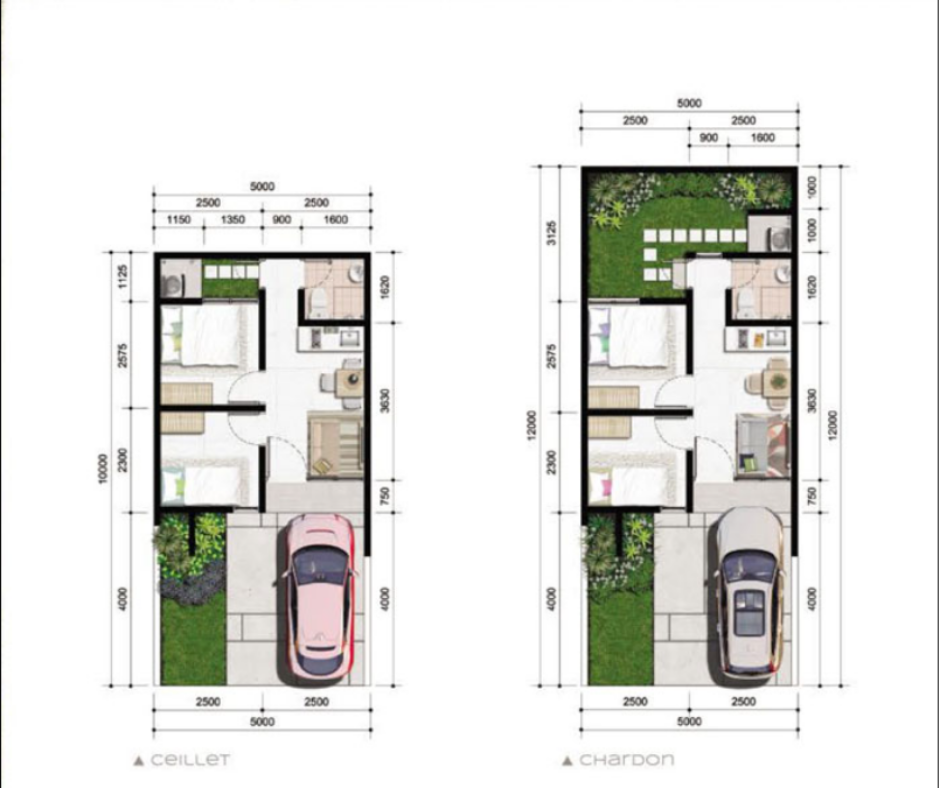 Cluster Chloe (Type CEILETT & CHARDON_Siteplan) - CGS