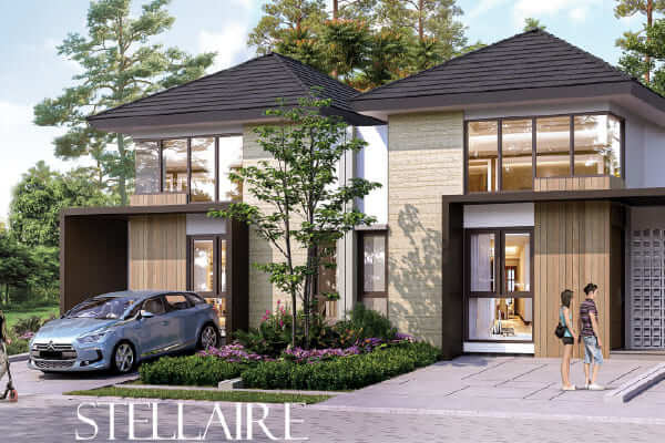 Stellaire